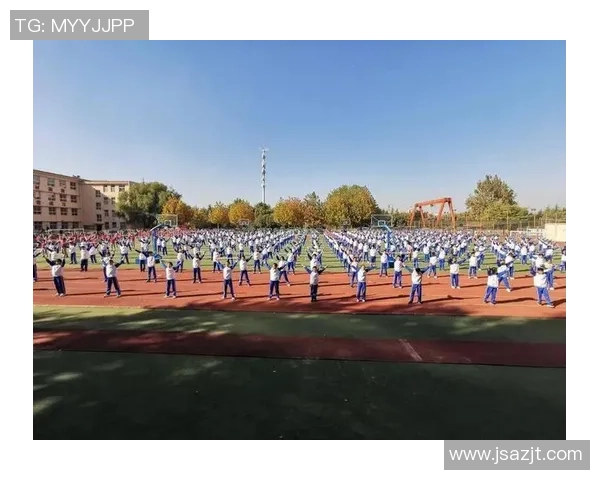 上海飞盘队边路渗透战术分析及其在比赛中的成效与不足