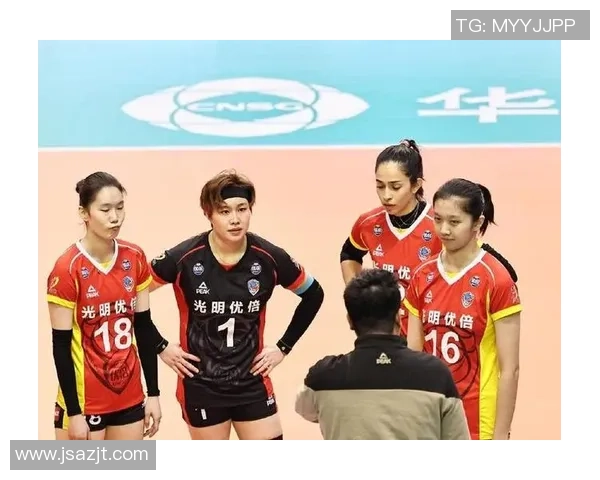 武汉排球队创历史新高排球状态排名再创新佳绩